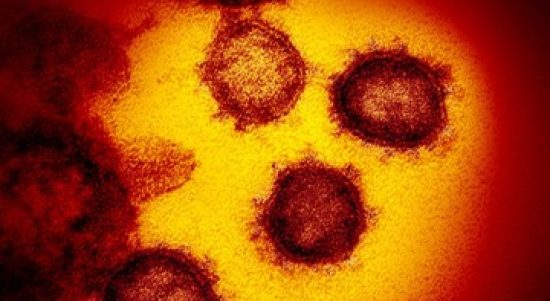 Mengejutkan, ditemukan orang yang kebal Virus Corona