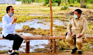 Presiden : 164 ribu hektare 2022  bisa dioptimalkan produksi pangan