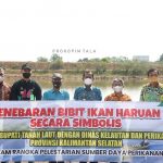 Bupati lepaskan  33 ribu benih iwak haruan