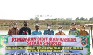 Bupati lepaskan  33 ribu benih iwak haruan