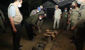 Bupati Sukamta sertai Razia Miras di Jorong