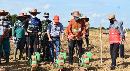 Bupati Tala Dorong tanam Padi 2 kali bahkan lebih