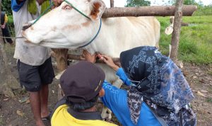 Buka Layanan Call me 24 jam untuk pelayanan Kesehatan Hewan