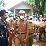 Sukamta tegaskan untuk memperketat pengawasan terhadap sapi-sapi yang akan masuk ke Pasar Pelaihari