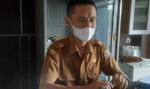 Serangan Hama Tangro di khawatirkan Bisa Gagalkan Panen