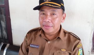 Desa Pandahan siap sediakan kerajinan Purun