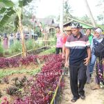 Tanaman Toga bisa dicontoh oleh desa-desa lain