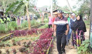 Tanaman Toga bisa dicontoh oleh desa-desa lain