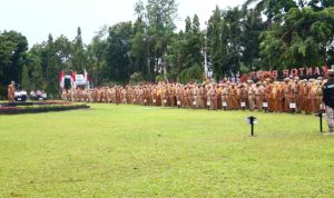 Pemkab. Tala Buka 279 Formasi ASN