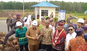 Resmikan Bakal Pabrik Minyak Goreng di Tala ,  Menteri Kopukm sampaikan Keunggulannya