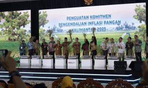 GNPIP 2023: Inovasi Budidaya Pertanian Terintegrasi Tingkatkan Ketahanan Pangan Strategis KalSel