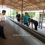 Bupati : Canangkan Desa Ranggang Dalam jadi Kampung Harang