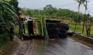 Truk Tronton  Terguling Di Kawasan Bukit Rimpi Tanah Laut, Akibatnya  2 Km Ruas Jalan Macet