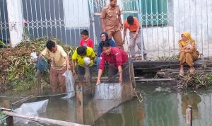 Lurah Kuripan Banjarmasin tebarkan 6000 bibit ikan lele di RT 04