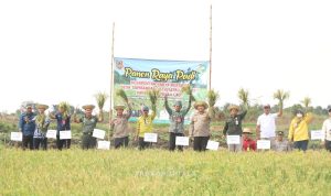 Bupati : minta petani segera mempercepat masa tanamnya
