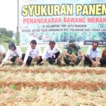 Pertanian Pondasi Utama Ekonomi Pembangunan Tala