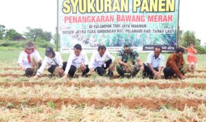 Pertanian Pondasi Utama Ekonomi Pembangunan Tala