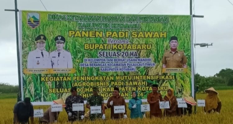 Bupati Kotabaru  dan Istri bersama Rombongan  panen padi di Desa Berangas