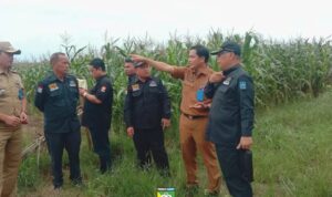 Tindak Lanjuti Rencana Pemekaran Kecamatan Baru, Pemkab Tala dan DPRD Tinjau Desa Sungai Riam