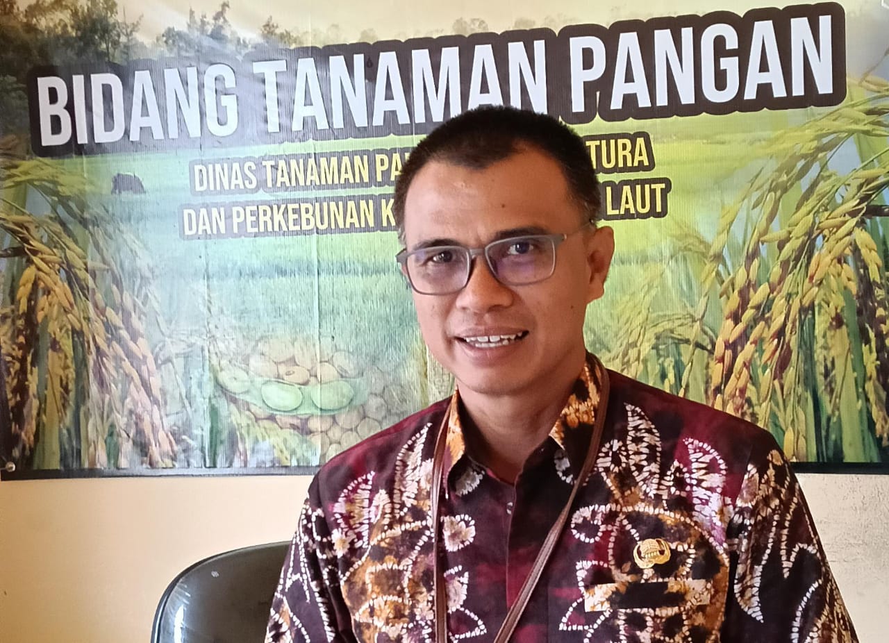 Panen Padi Gabah Kering semakin meningkat berkenaan dengan perubahan mainseat Petani