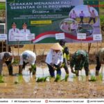 Dari  Lok Serapang Tanah Laut, Presiden Prabowo Pimpin Tanam Padi Serentak di 14 Provinsi,