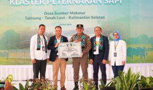 Berdayakan Masyarakat, Bupati Tanah Laut – BSI Luncurkan Program Klaster Sapi  di Desa Sumber Makmur