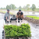 Bupati Dorong Pertanian Berkelanjutan  Capai tiga kali panen setahun