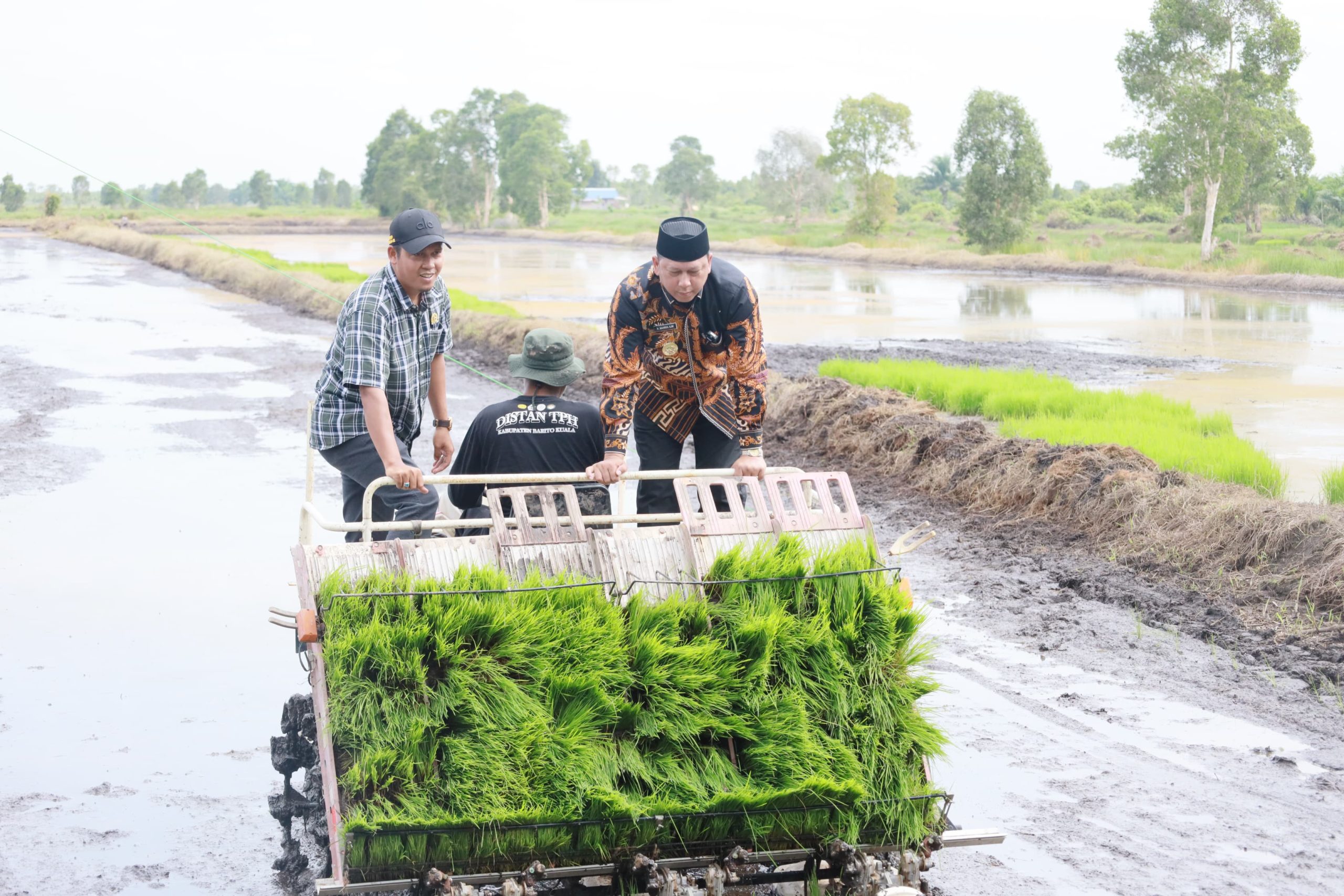 Bupati Dorong Pertanian Berkelanjutan  Capai tiga kali panen setahun