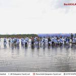 Hari LH  Sedunia, 16.500 Bibit Mangrove Rhizophora sp. Ditanam di Perairan Sabuhur