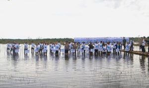 Hari LH  Sedunia, 16.500 Bibit Mangrove Rhizophora sp. Ditanam di Perairan Sabuhur