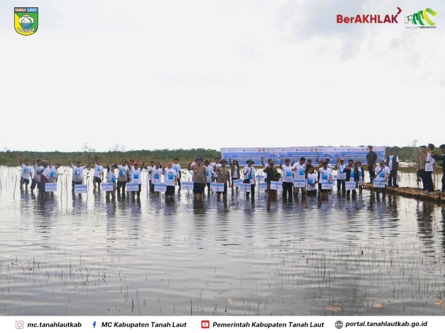 Hari LH  Sedunia, 16.500 Bibit Mangrove Rhizophora sp. Ditanam di Perairan Sabuhur