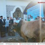 Bupati Tanah Laut Sholat Idul Adha dan Serahkan Sapi Bantuan Presiden RI