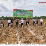 Wakil Bupati Tala  H Zazuli  Hadiri Penanaman Jagung Serentak Kuartal III