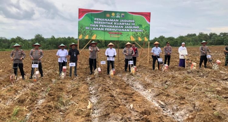 Wakil Bupati Tala  H Zazuli  Hadiri Penanaman Jagung Serentak Kuartal III