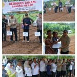 Mengejar Kemandirian Pangan, Gerakan Menanam Bawang Merah Terus diaksikan