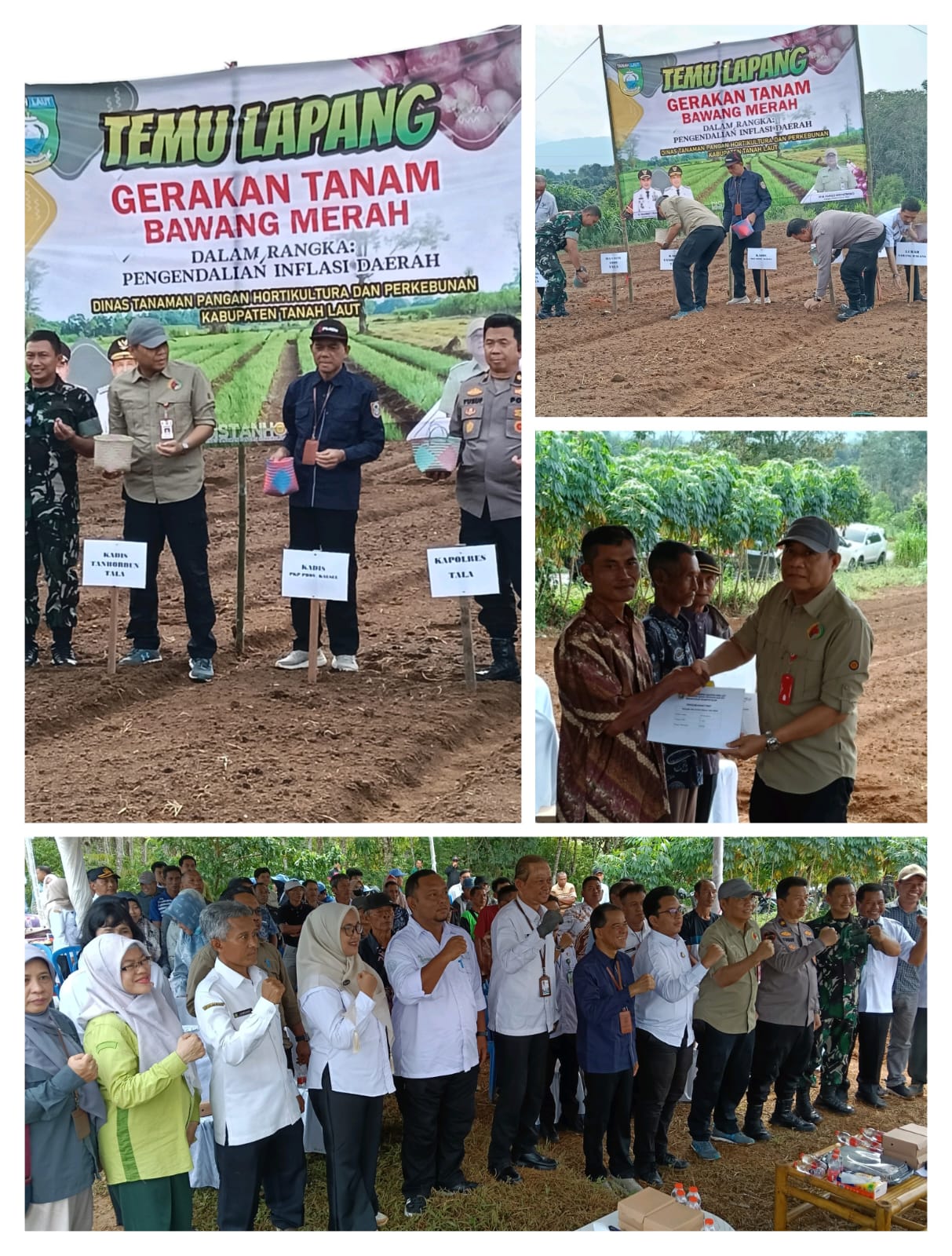 Mengejar Kemandirian Pangan, Gerakan Menanam Bawang Merah Terus diaksikan