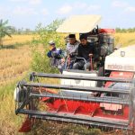 Bupati H. Bahrul Ilmi Tegaskan Ketahanan Pangan Prioritas Utama