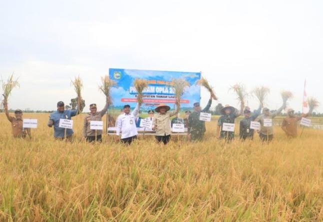 Bupati Tanah Laut Rahmat Targetkan   Panen Padi Tiga Kali Setahun