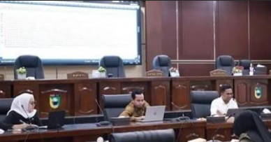 DPRD Tanah Laut Rumuskan Raperda Kesehatan, Pastikan Layanan Publik Lebih Merata