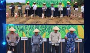 Rahmat Optimis Produksi Jagung Pertahun di Tanah Laut akan hasilkan 200.000 ton