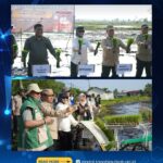 Tanah Laut dipilih dalam program penanaman serentak lahan cetak sawah rakyat Tanah Laut dipilih dalam program penanaman serentak lahan cetak sawah rakyat