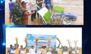 Pecah Rekor 10 Tahun Terakhir, Ekonomi Tanah Laut Tumbuh 5,14 Persen di 2025: Pertanian Geser Dominasi Tambang Pecah Rekor 10 Tahun Terakhir, Ekonomi Tanah Laut Tumbuh 5,14 Persen di 2025: Pertanian Geser Dominasi Tambang