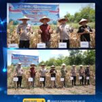 Wabup Tanah Laut Hadiri Panen Raya Jagung Serentak dan Groundbreaking Gudang Ketahanan Pangan Polri