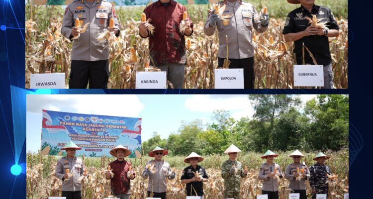 Wabup Tanah Laut Hadiri Panen Raya Jagung Serentak dan Groundbreaking Gudang Ketahanan Pangan Polri