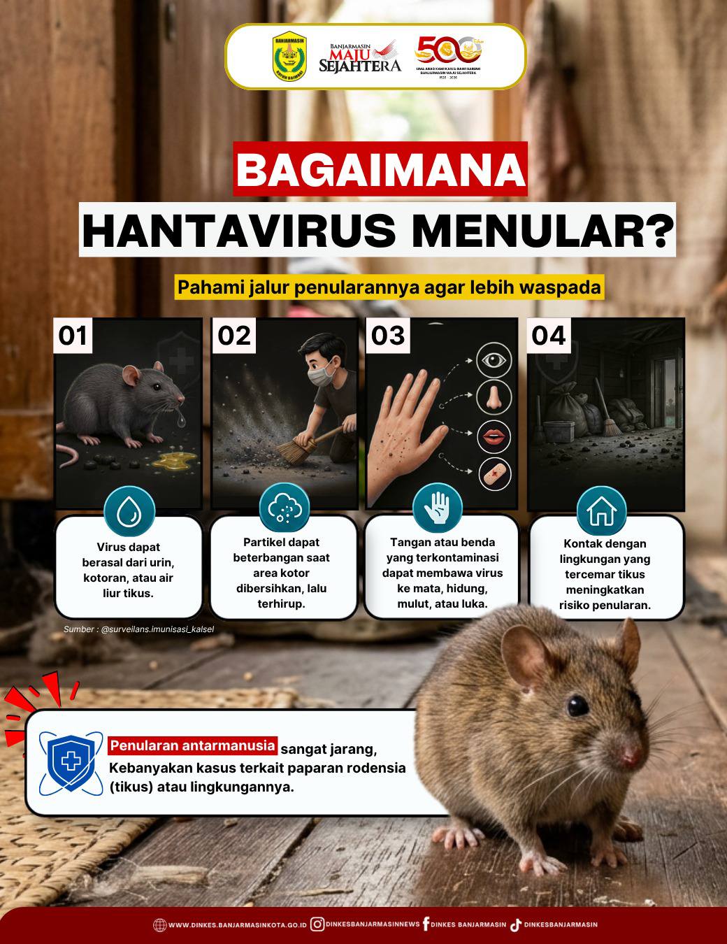 Hati Hati dengan Hanta Virus timbulkan gangguan serius padaparu & Ginjal