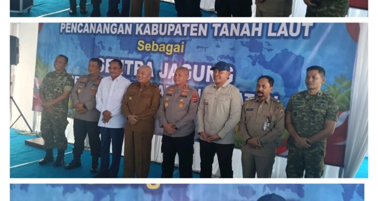 Untuk memperkuat Ketahanan Pangan Kabupaten Tanah Laut dicanangkan sebagai Sentral Jagung Kalsel