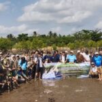 Seribu Mangrove Untuk Perkuat Ketahanan Lingkungan
